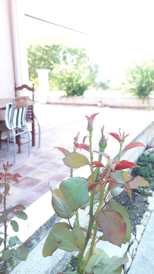 Country House Kefalonia Dhorizáta Exteriör bild